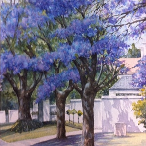 Tarjeta de felicitación de calle bordeada de Jacaranda con mi obra de arte original en acuarela. Interior en blanco para cualquier ocasión, con sobre blanco.