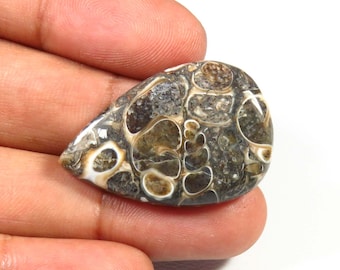 Natural Brown Turtella Agate Gemstone, 30X20mm, Turtella Jasper Cabochon, Pear Shape, 25Cts, Smooth Turtella Cabochon Loose for Jewelry Use,