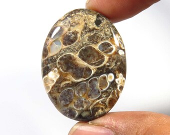 Natural Brown Turtella Agate Gemstone, 31x23mm, Polished Turtella Jasper Cabochon, Oval Shape, Turtella Smooth Gems Loose for Jewelry Making