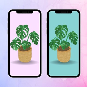 May include: Two phone screens with a green monstera plant in a brown pot with a swirl pattern on a pink and blue background.