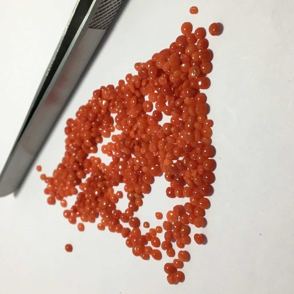 Natural Red Coral Gemstone Beautiful Red Color Coral Cabochon Etsy