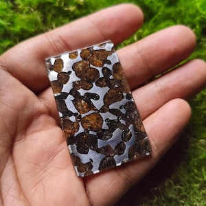 May include: A rectangular piece of polished meteorite with a silver-grey background and brown, metallic inclusions. The meteorite is about 2 inches long and 1 inch wide.