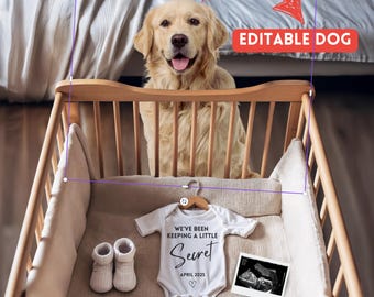 Puede incluir: Un perro golden retriever sentado en una cuna de madera con un body blanco que dice "We've been keeping a little secret" y la fecha "April 2025".
