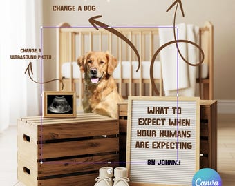 Puede incluir: Un perro Golden Retriever está sentado cerca de una caja de madera con una foto de ultrasonido enmarcada y un letrero que dice "WHAT TO EXPECT WHEN YOUR HUMANS ARE EXPECTING". Dos pares de botines para bebés están frente a la caja.