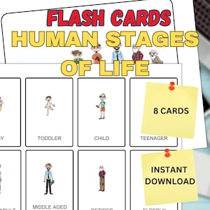Tarjetas flash imprimibles sobre etapas de la vida humana / Tarjetas Montessori / 8 Tarjetas flash de nomenclatura / Tarjetas imprimibles en PDF Juguetes preescolares