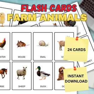 Printable Farm Animals Flash Cards | Montessori cards | 24 Nomenclature Flash Cards | PDF Printable Cards Preschool Toys | Learn Animal Name