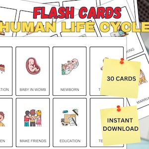 Tarjetas Flash Imprimibles del Ciclo de Vida Humano / Tarjetas Montessori / 30 Tarjetas Flash de Nomenclatura / Tarjetas Imprimibles PDF Juguetes Preescolares