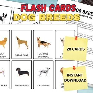 Printable Dog Breeds Flash Cards | Montessori cards | 28 Nomenclature Flash Cards | PDF Printable Cards Preschool Toys
