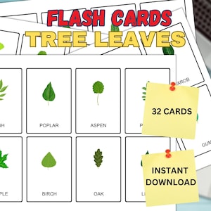 Printable Tree Leaves Flash Cards | Montessori cards | 32 Nomenclature Flash Cards | PDF Printable Cards Preschool Toys