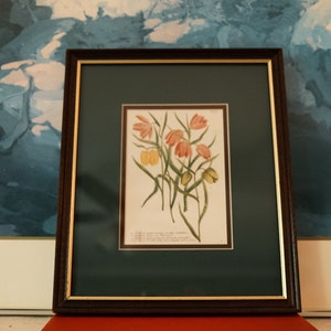 Stampa floreale Fritillaria Meleagris 11x13" di Laurent De Chazelles / con passepartout e cornice