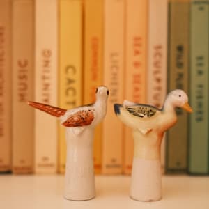 Set of two 1950s Japan Ceramic Birds Salt and Paper Shapers / Pheasant Noddler + Duck