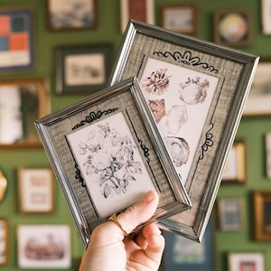 May include: Two silver framed prints are held in front of a green wall covered in various framed art pieces. The prints feature botanical illustrations in black and white. The frames have a decorative black border.