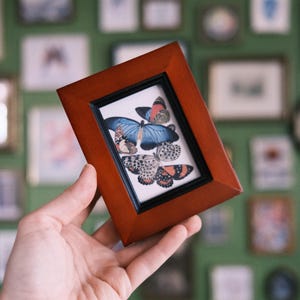 Houten fotolijst van 2,2 x 3,2" met / houten fotolijst met zwarte binnenrand /