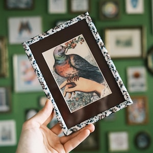5x7&quot; matted to 3.5x5&quot; White Metal Picture Frame with Printed Floral Design / 5x7&quot; Metal Photo Frame