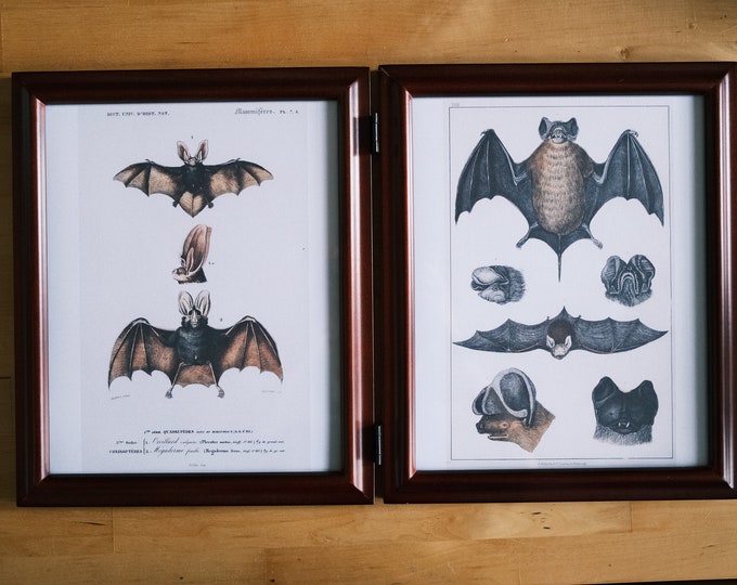 8x10 Wood Double Hinged Picture Frame / 8x10 Wood Photo Frame Etsy