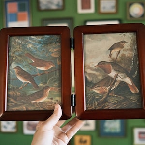 Puede incluir: Un marco de fotos doble con bisagras hecho de madera oscura pulida, que cuenta con dos paneles separados cubiertos de vidrio. Cada panel contiene una ilustración detallada de estilo vintage de aves marrones y blancas posadas en ramas.