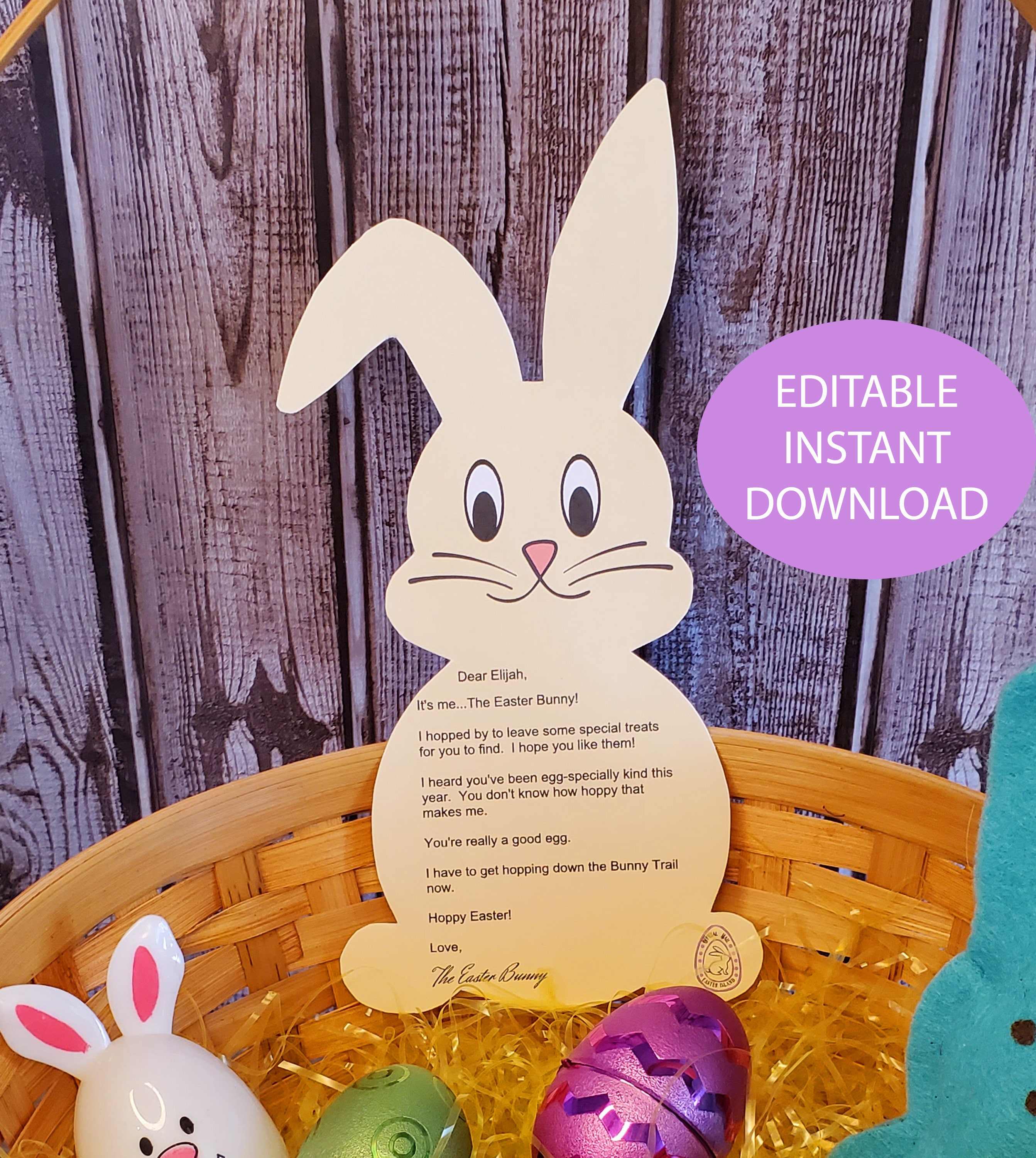 Editable Easter Bunny Letter Template Instant Download, Personalized ...