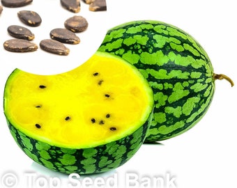 Elitely  Watermelon Fruit Semente 25Pcs Seed Citrullus Lanatus Yellow Meat Watermelon