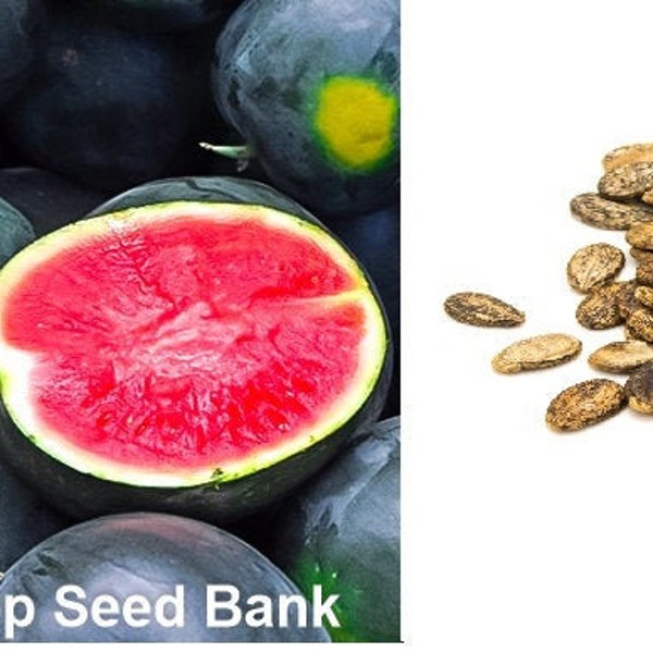 25+ Black Diamond Watermelon seeds + Free GIFT | Non-GMO, Heirloom | Top Seed Bank