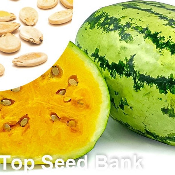 10+ Tendersweet Orange Watermelon seeds + Free GIFT | Heirloom, Organic| Top Seed Bank