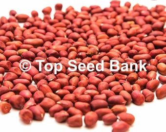 20+ Peanut seeds, Raw, Uncooked, ready for planting, 105 Days + Free GIFT | Non-GMO, Organic| Top Seed Bank