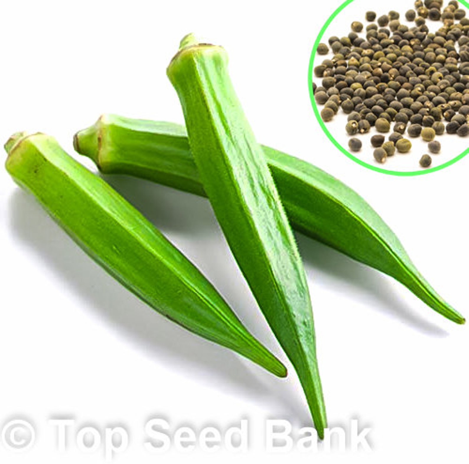 25 Emerald Okra Seeds Green Cajun Okra 55 Days Free GIFT Etsy