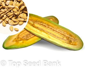 15+ Banana Melon seeds + Free GIFT | Heirloom, Organic| Top Seed Bank