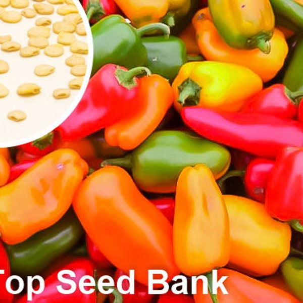 20+ Lunchbox Pepper Mix seeds, Snack Peppers + Free GIFT | Organic, Heirloom | Top Seed Bank