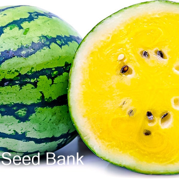 10+ Yellow Gem Sweet Watermelon seeds, Icebox + Free GIFT |Organic| Top Seed Bank