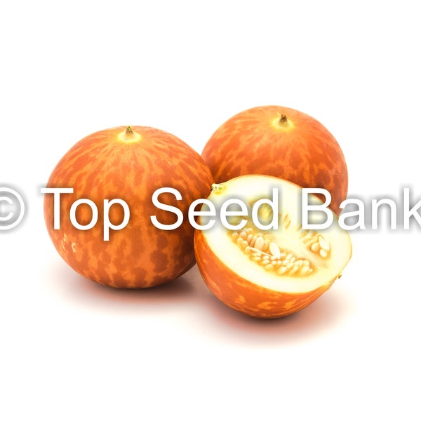 10+ Tigger  melon seeds, orange zigzag stripes of Tigris River + Free GIFT | Non-GMO, Organic| Top Seed Bank