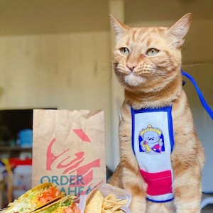 TacoCat Apron