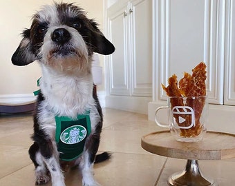 Puppbucks Barista Dog Apron | Starbucks Parody Pet Costume | Small Dog Halloween Costume | Dog Mom Gift | Coffee Lover Dog Gift