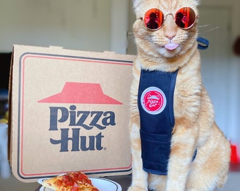 May include: A ginger cat wearing red sunglasses and a black vest with a Pizza Hut logo is sitting in front of a Pizza Hut box. The cat is wearing a black vest with a Pizza Hut logo and the text "Pizza Hut" is printed on the box.