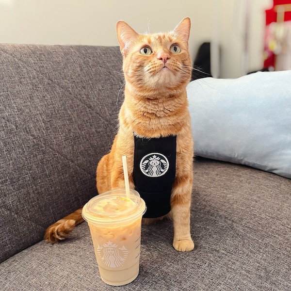 Meowbucks Apron (Master Black)