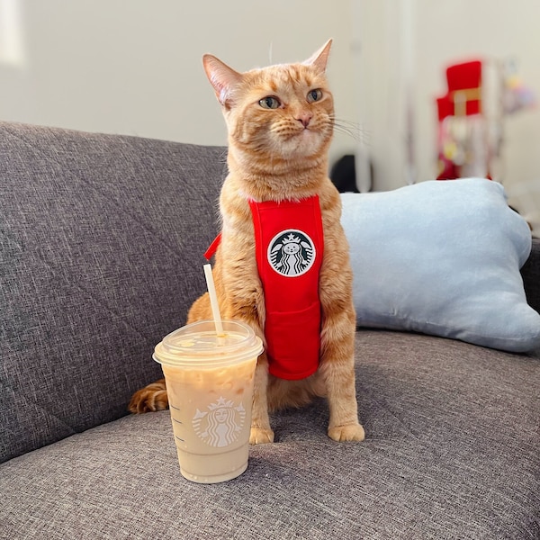 Delantal meowbucks (Rojo navideño)