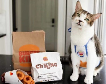 May include: A cat wearing a blue Burger King uniform with a name tag that says "Burger" is sitting on a counter next to a brown paper bag and a white paper bag with the words "Ch'King" printed on it. There is a cone of onion rings on the counter.