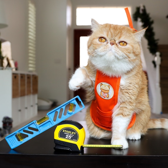 Cat apron deals