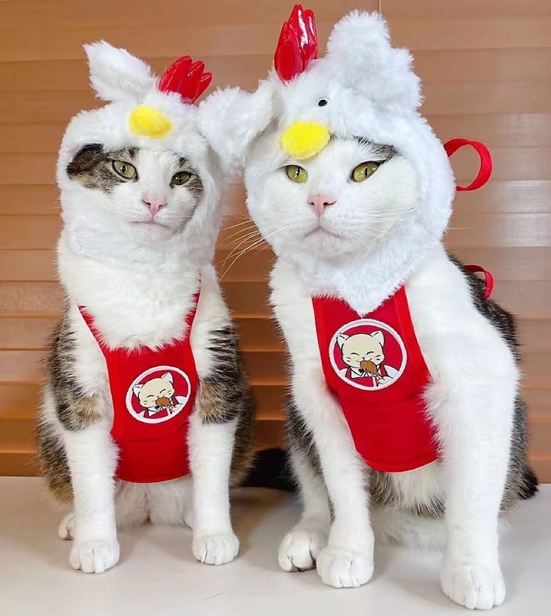 May include: Two white and tabby cats wearing red chicken costumes with a white fluffy chicken head and a red bib with a cartoon chicken eating a drumstick. The cats are sitting on a brown surface.