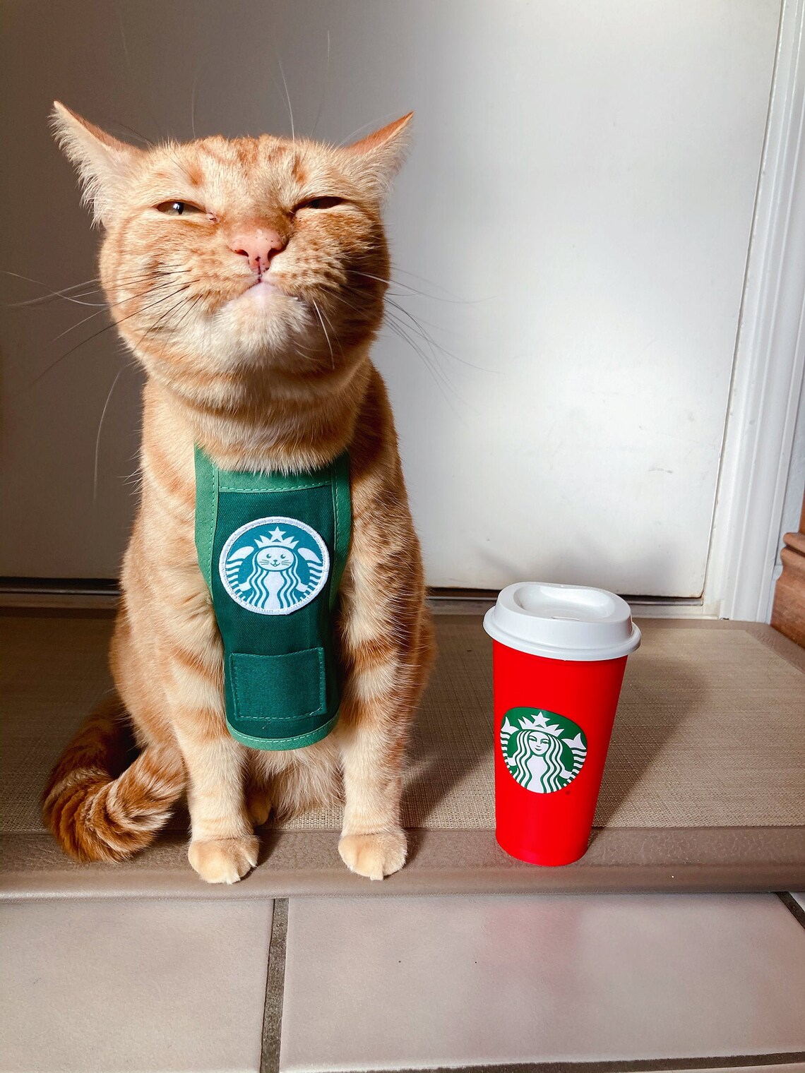 Celemek Meowbucks (Hijau Klasik) oleh WaffleStash di Etsy