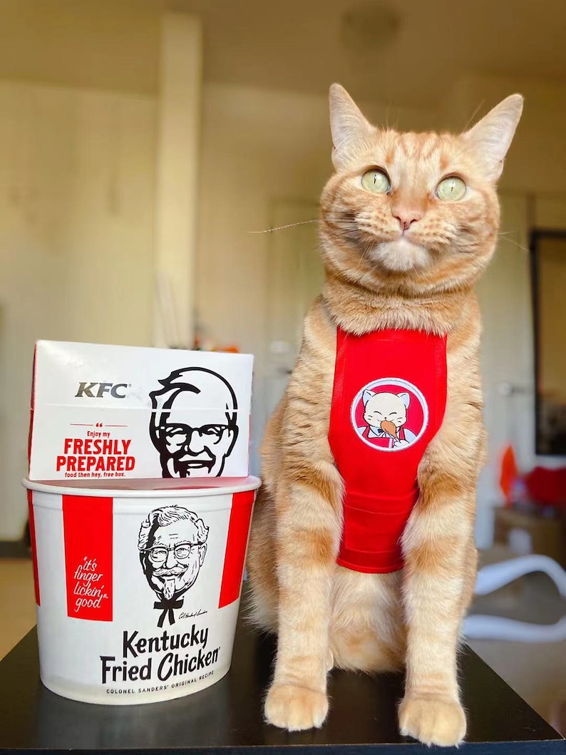 May include: A ginger cat wearing a red vest with a KFC logo and a cartoon chicken holding a drumstick. The cat is sitting on a black surface next to a KFC bucket and a box with the text "Enjoy my FRESHLY PREPARED food then hey, free box." and "it's finger lickin' good" printed on it.