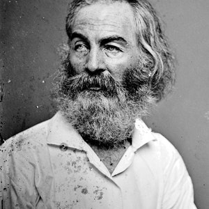 Historical Poster Print: Walt Whitman, 19th Century American Poet, Essayist and Author - New Satin Finish Photo - Available in 6 Sizes!