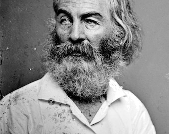 Historical Poster Print: Walt Whitman, 19th Century American Poet, Essayist and Author - New Satin Finish Photo - Available in 6 Sizes!