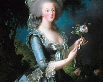 Affiche historique : portrait en rose de Marie-Antoinette, reine de France et de Navarre - Photo finition satinée - Disponible en 6 tailles !
