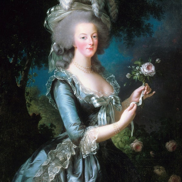 Historical Poster: Rose Portrait of Marie Antoinette, Queen of France and Navarre - Satin Finish Photo - Available in 6 Sizes!