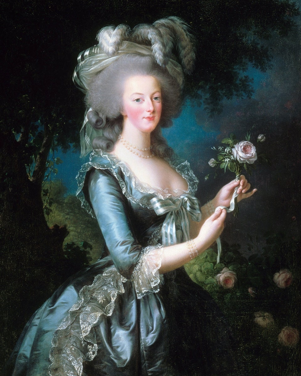 Historical Poster: Rose Portrait of Marie Antoinette, Queen of