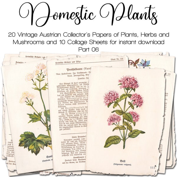 Vintage Plants, Herbs, Mushrooms, and Flowers, Part 06 | Botanical Junk Journal Kit | Ephemera 1930s | digital | instant printable download