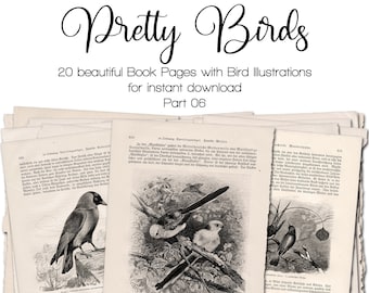 Vintage Bookpages with Bird Illustrations, Part 06 | Junk Journal Kit | Ephemera 1900 - 1910 | digital | instant printable download