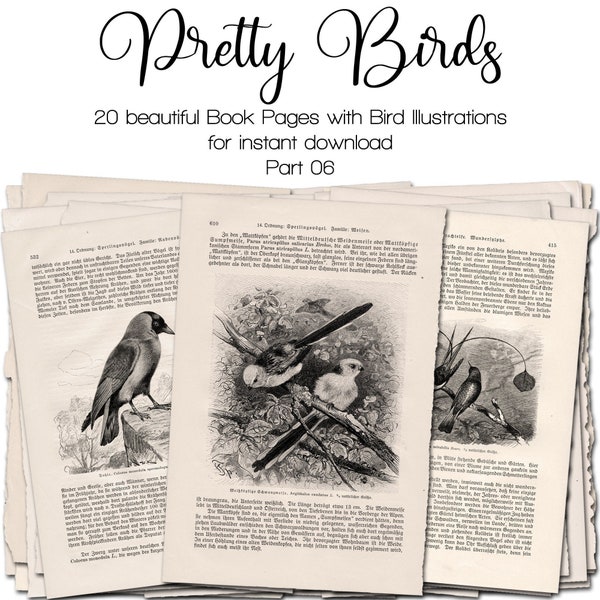 Vintage Bookpages with Bird Illustrations, Part 06 | Junk Journal Kit | Ephemera 1900 - 1910 | digital | instant printable download
