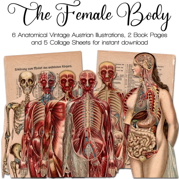 Vintage Anatomical Illustrations | Junk Journal Kit | Ephemera 1900 - 1910 | PNG Clipart | digital Fussy Cut | instant printable download