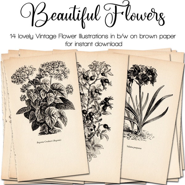 Vintage Book Pages with black/white Flowers from Austria | Junk Journal Kit | Ephemera 1950s | digital | instant printable download